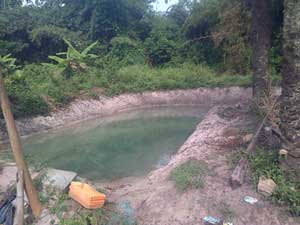 Earthen ponds in Ogun State, Nigeria
