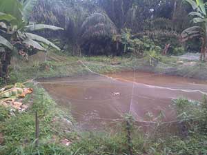 Earthen ponds in Ogun State Nigeria