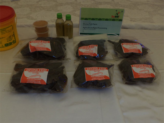 Processed and packaged fish on exhibit at the First YouWiN! Made in Nigeria Trade Exhibition