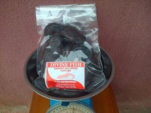 A pack of dried catfish from Divine Fish Farm